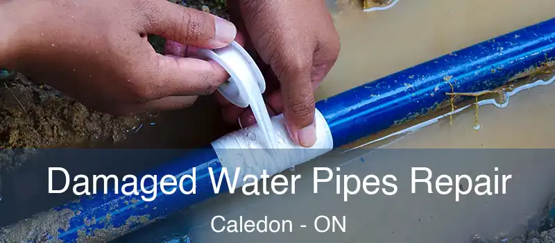  Damaged Water Pipes Repair Caledon - ON