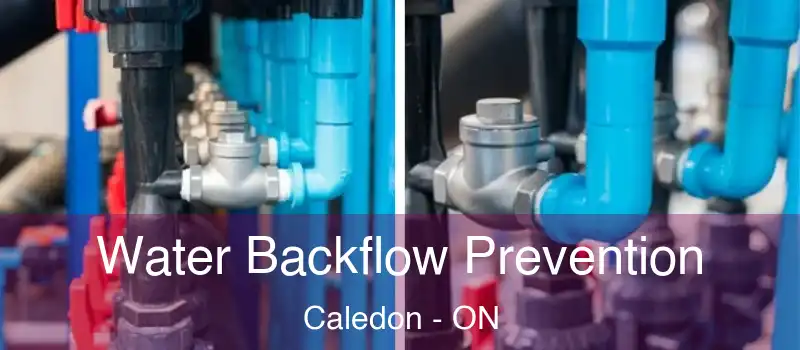  Water Backflow Prevention Caledon - ON